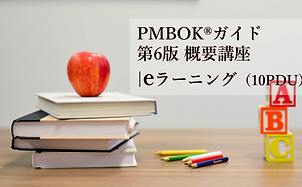 PMBOKガイド 第6版 日本語版 プロジェクトマネジメント知識体系ガイド PMBOKガイド 第6版(日本語)